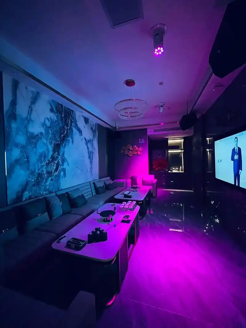 河源商务ktv收费标准-紫金县ktv预定